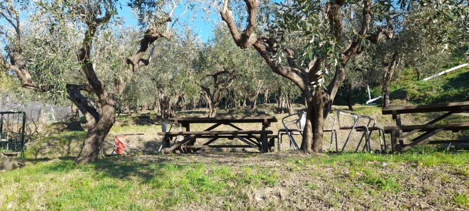 Cele Bauernhof *